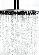 Olay PCC - Shower Head image